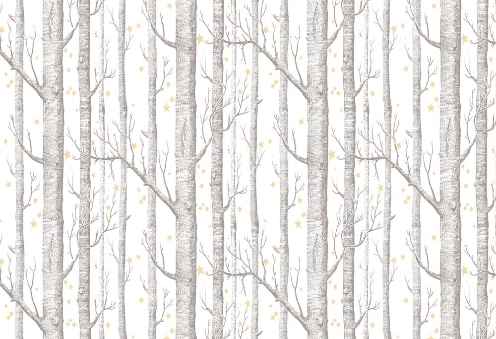 Whimsical Birch Forest with Stars Wall Mural Wallpaper