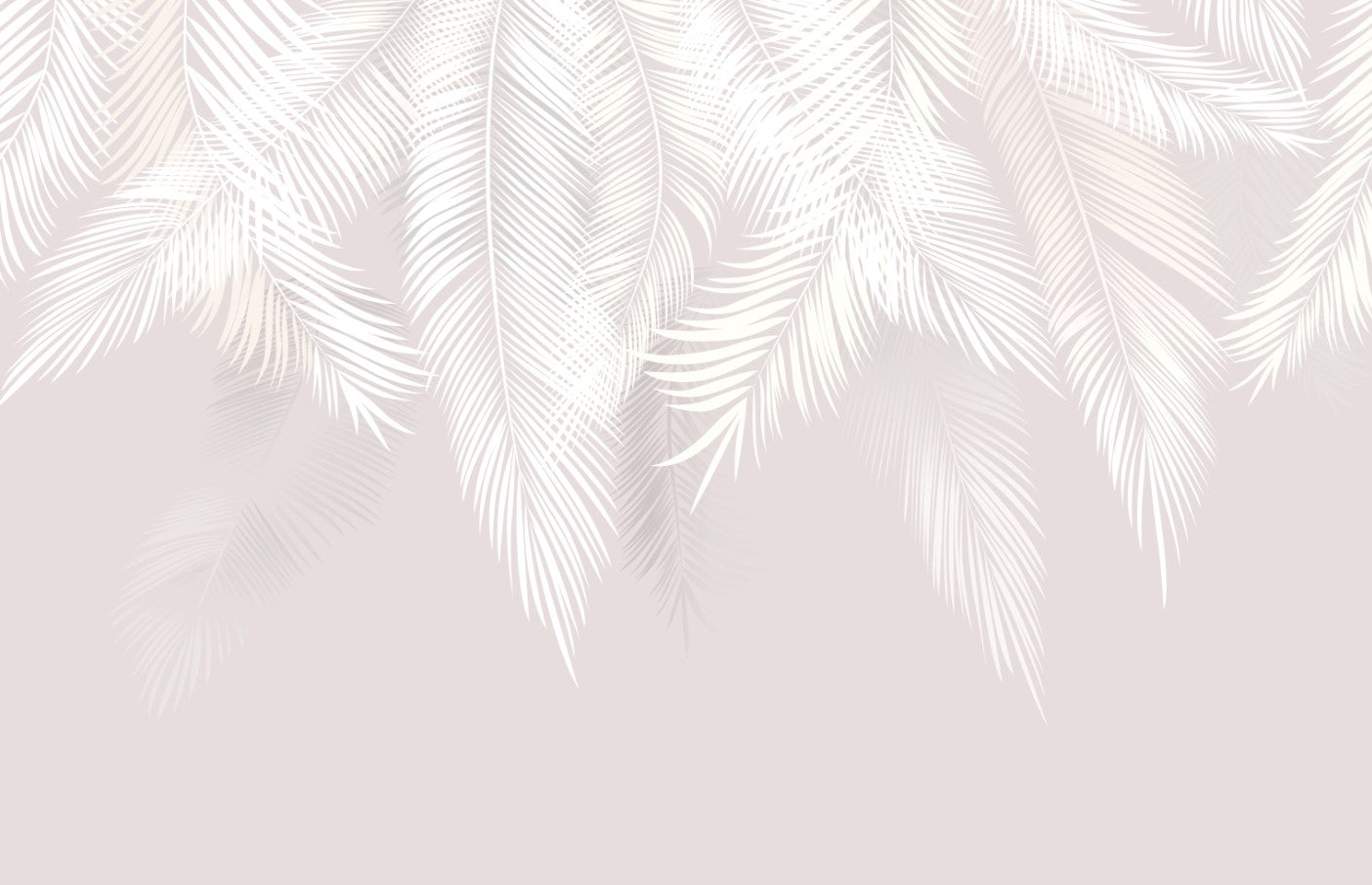 White Feathers Modern Wallpaper Tropical Palm Leaf Wall Mural