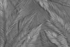 Custom Dark Fresco Tropical Palm Tree Leaf Wall Mural Monochrome Botanical Wallpaper