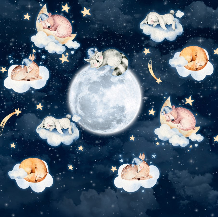 Kids Wall Murals Cute Animals Sleep on Clouds Space Wallpaper for Kids