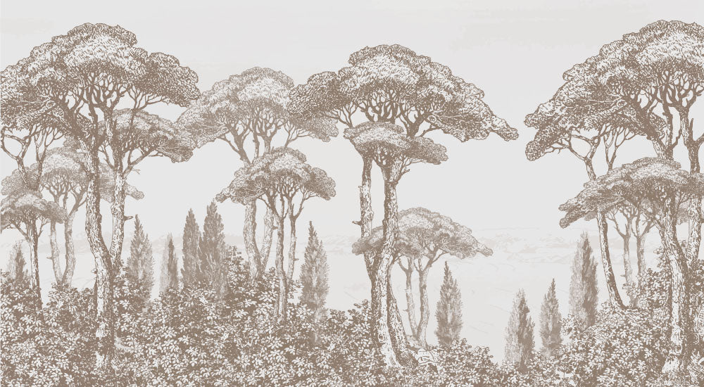 Papier peint grands arbres vintage – Papier peint panoramique sous-bois en gravure sépia