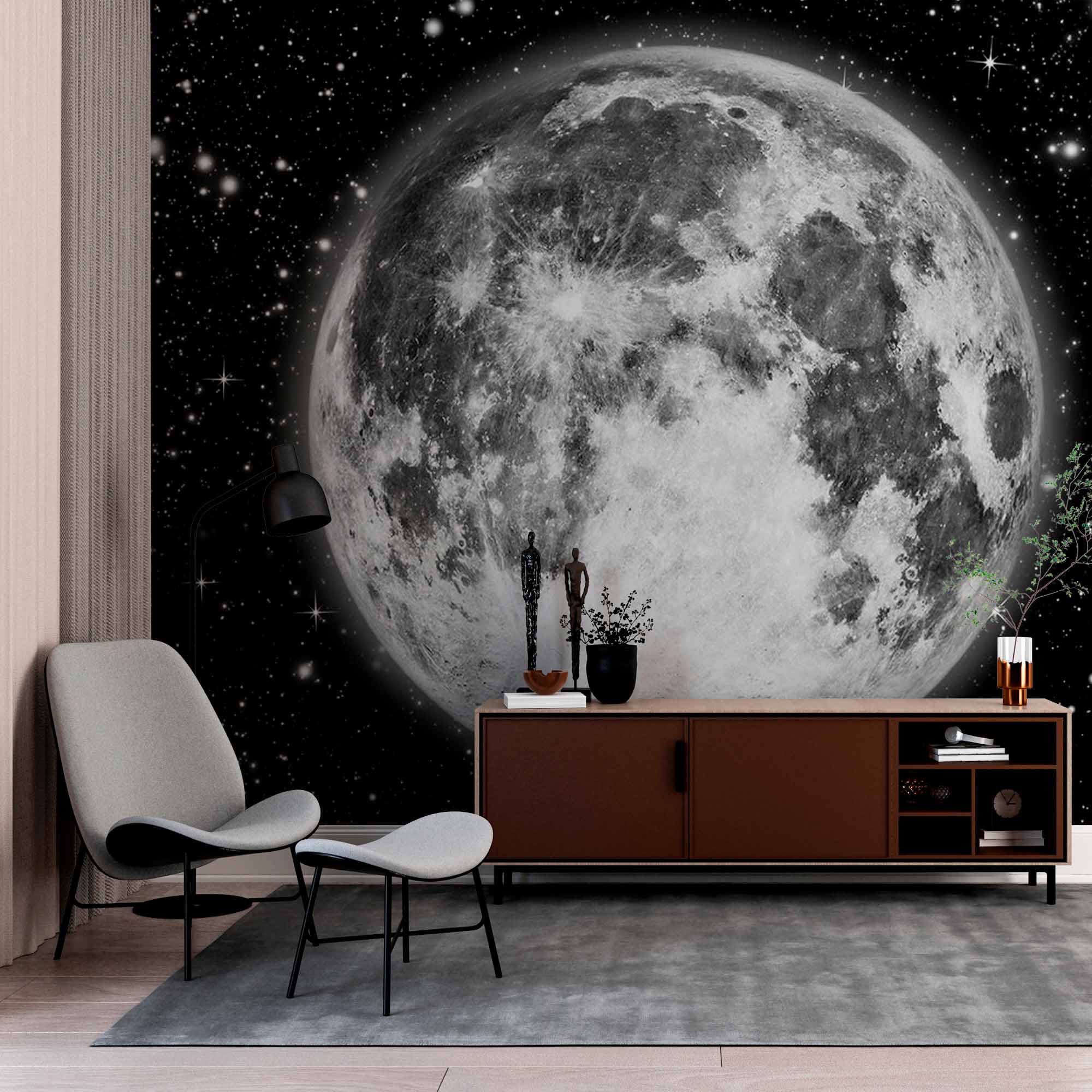 Detailed Full Moon Wall Mural Wallpaper - Monochrome Night Sky with Stars