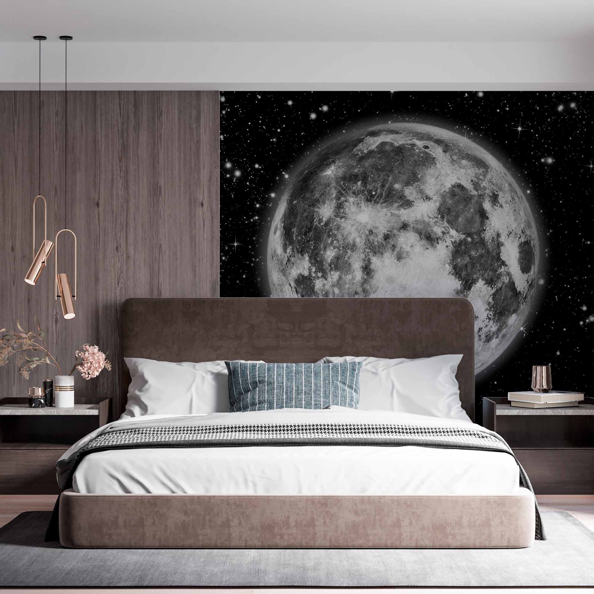 Detailed Full Moon Wall Mural Wallpaper - Monochrome Night Sky with Stars