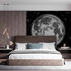 Custom Detailed Full Moon Wall Mural Wallpaper - Monochrome Night Sky with Stars