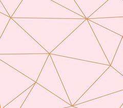 Custom Pastel Pink Geometric Wallpaper with Copper Lines