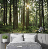 Forest Illusion Wall Mural Wallpaper - Nature Scene with Distressed Wood Overlay