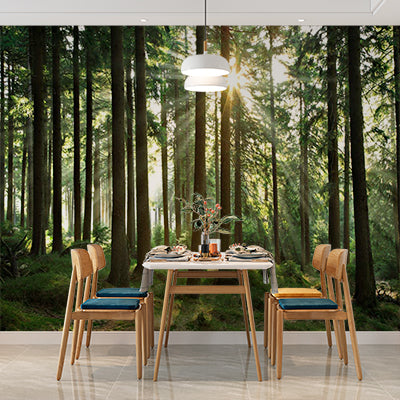 Forest Illusion Wall Mural Wallpaper - Nature Scene with Distressed Wood Overlay