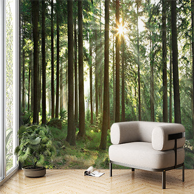 Forest Illusion Wall Mural Wallpaper - Nature Scene with Distressed Wood Overlay