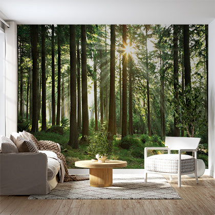 Forest Illusion Wall Mural Wallpaper - Nature Scene with Distressed Wood Overlay