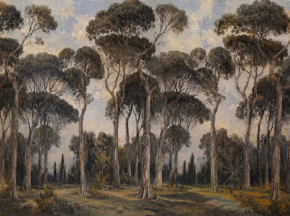 Papier peint forêt de pins sombre – Papier peint panoramique pins parasols picturaux sous ciel nuageux