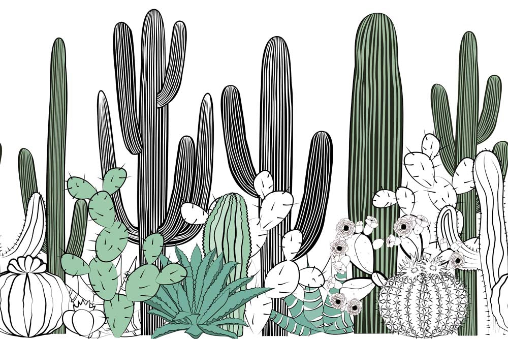 Minimalist Cactus Line Art Wall Mural - Black and Green Desert Plant Design Wallpaper