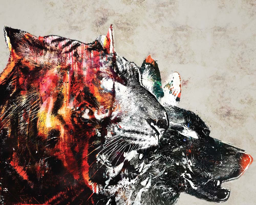 Tiger Wolf Portrait Wall Mural Agressive Wallpaper