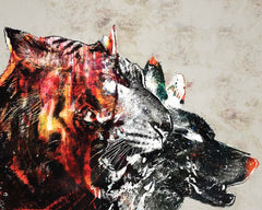 Custom Tiger Wolf Portrait Wall Mural Agressive Wallpaper