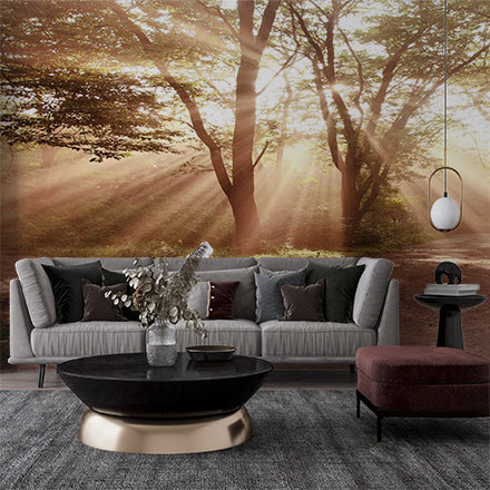 Sunlit Forest Path Wall Mural Wallpaper - Peaceful Woodland Scene with Light Rays