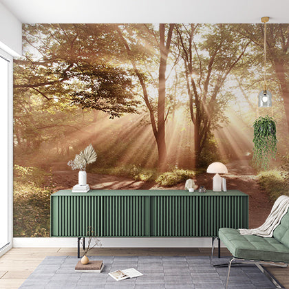 Custom Sunlit Forest Path Wall Mural Wallpaper - Peaceful Woodland Scene with Light Rays