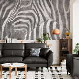 Zebra Black and White Tropical Old Cement Concrete Texture  Wallpaper Animals Wall Mural