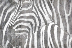 Custom Zebra Black and White Tropical Old Cement Concrete Texture  Wallpaper Animals Wall Mural