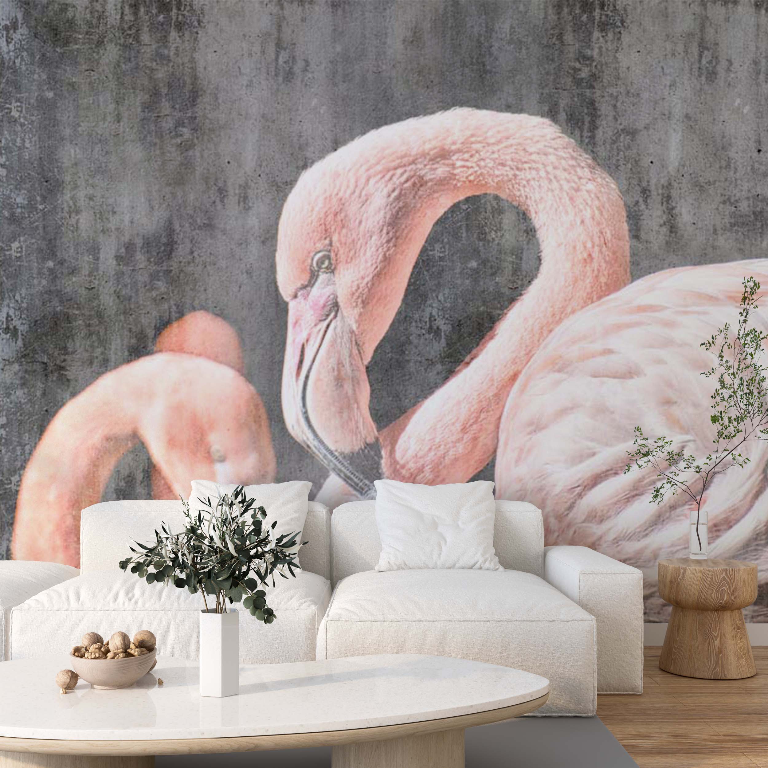 Pink Flamingo Tropical Animals Wall Mural Old Cement Concrete Texture Wallpaper