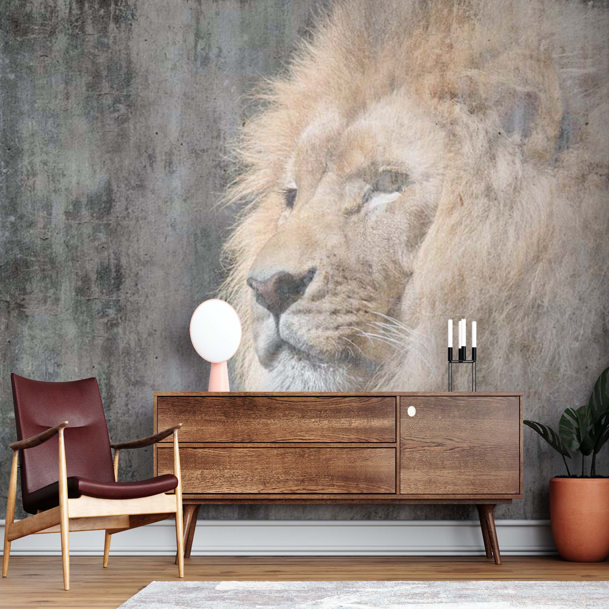 Lion Savannah Animals Wall Mural Old Cement Concrete Texture Wallpaper