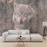 Wolf Wall Mural Forest Animals Old Cement Concrete Texture Wallpaper