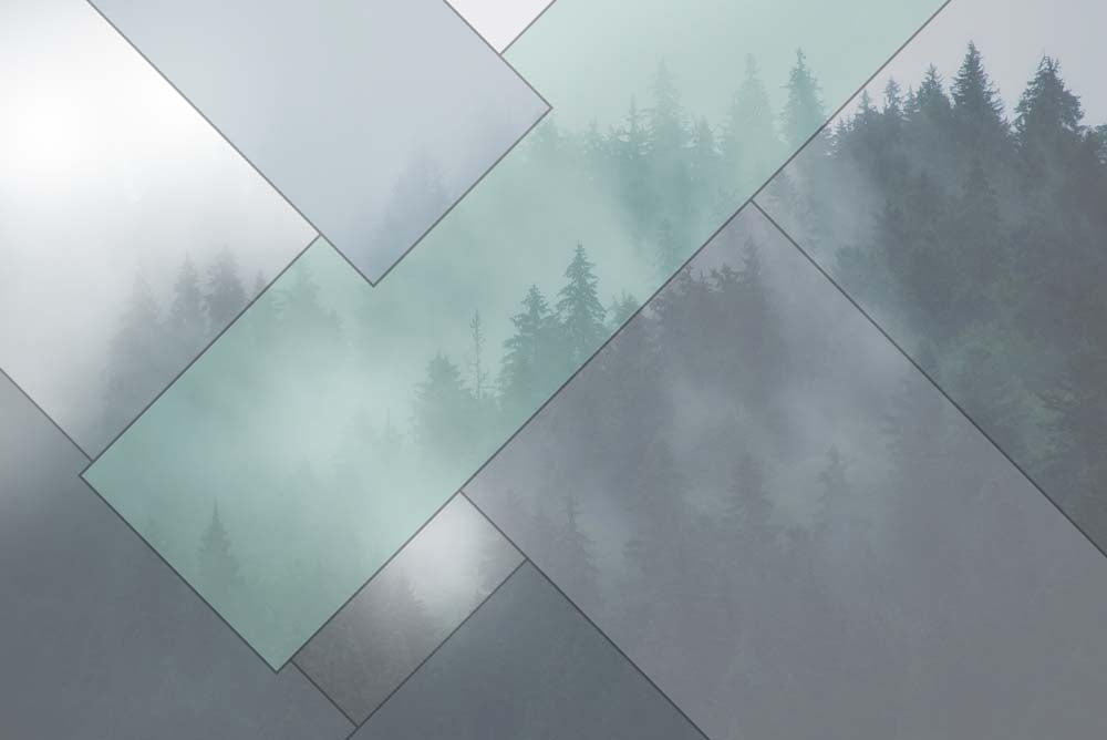 Modern Abstract Misty Forest Wall Mural Wallpaper