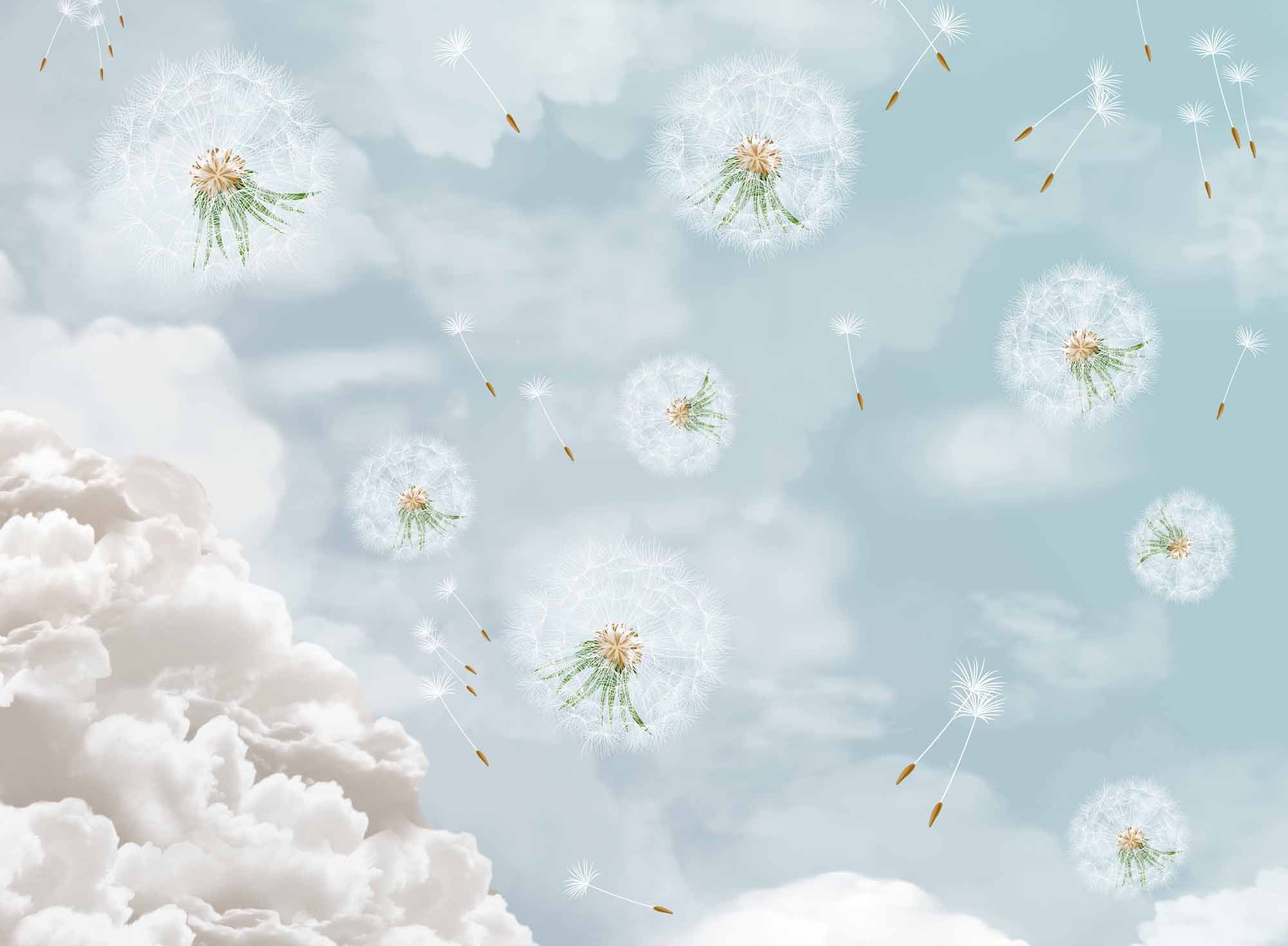 Whimsical Dandelion Wall Mural Wallpaper with Cloudy Sky Background