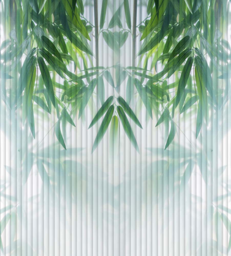 Bamboo Leaf Wall Mural Abstract White Lines Botanical Wallpaper