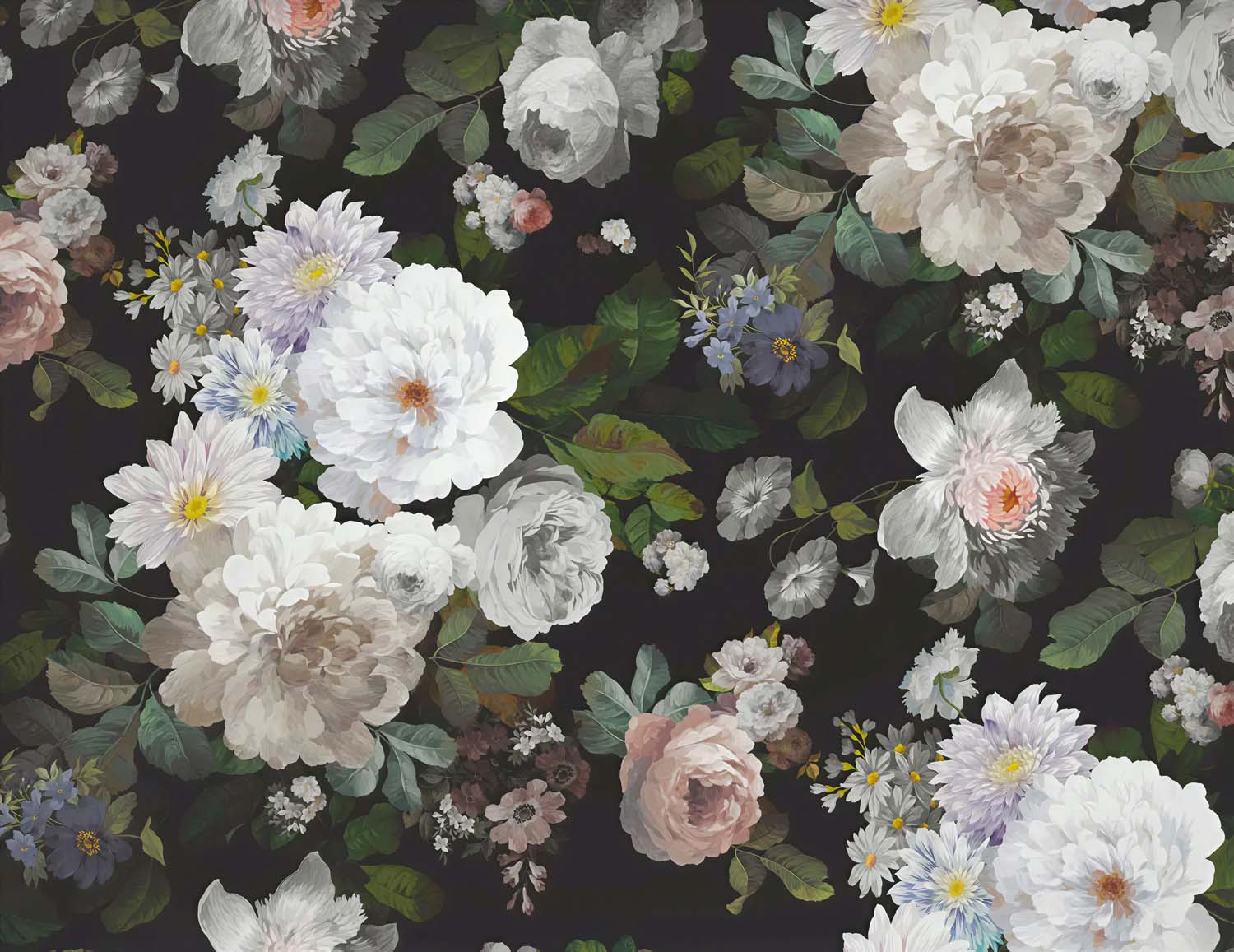 Moody wallpaper with white and blush peonies, roses and green leaves on a black background.