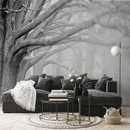 Black and White Trees Wall Mural Foggy Forest Wallpaper