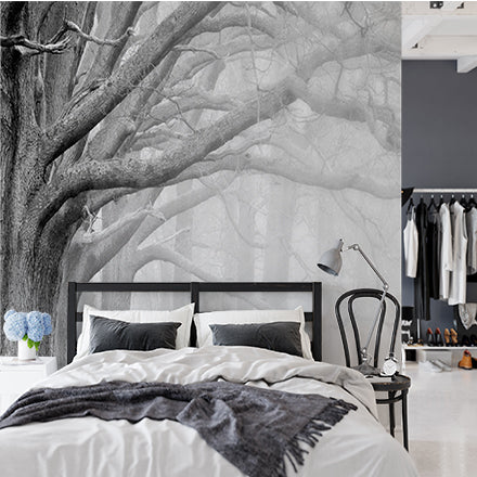 Black and White Trees Wall Mural Foggy Forest Wallpaper