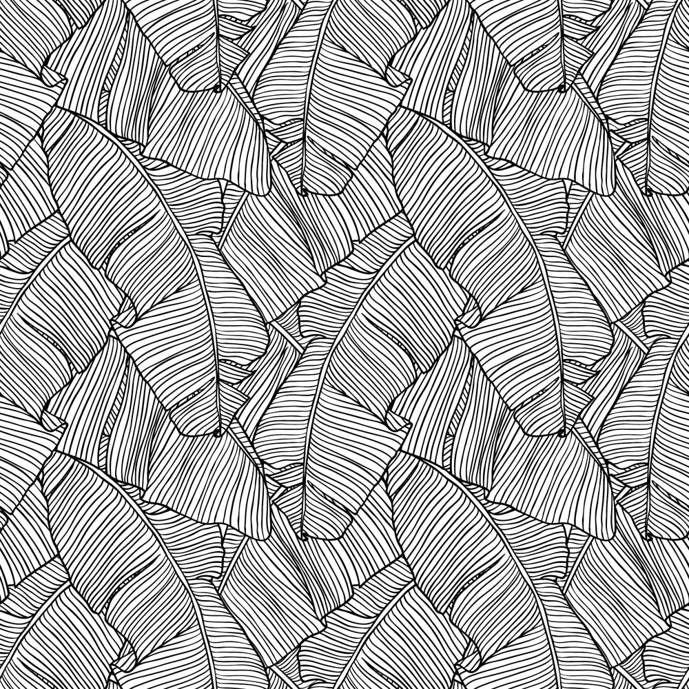 Papier peint feuilles de bananier noir et blanc – Papier peint panoramique motif de feuilles line art