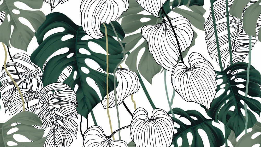 Papier peint monstera line art – Papier peint panoramique motif botanique vert et blanc