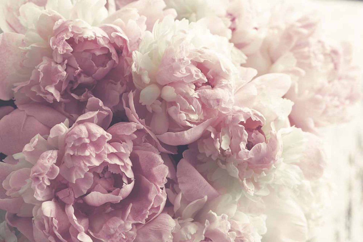 Custom Gentle Blush Flower Wallpaper