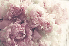 Custom Gentle Blush Flower Wallpaper