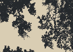 Custom Silhouette of Tree Canopy Wall Mural Wallpaper