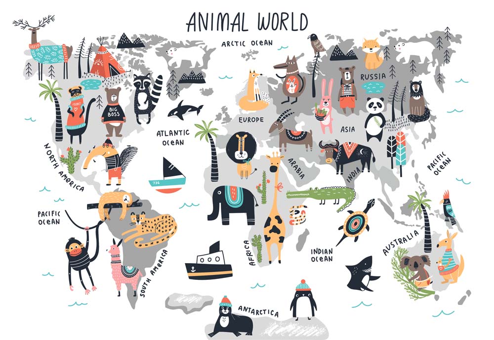 Kids World Map Animal World Wall Mural Educational Wallpaper for Kids