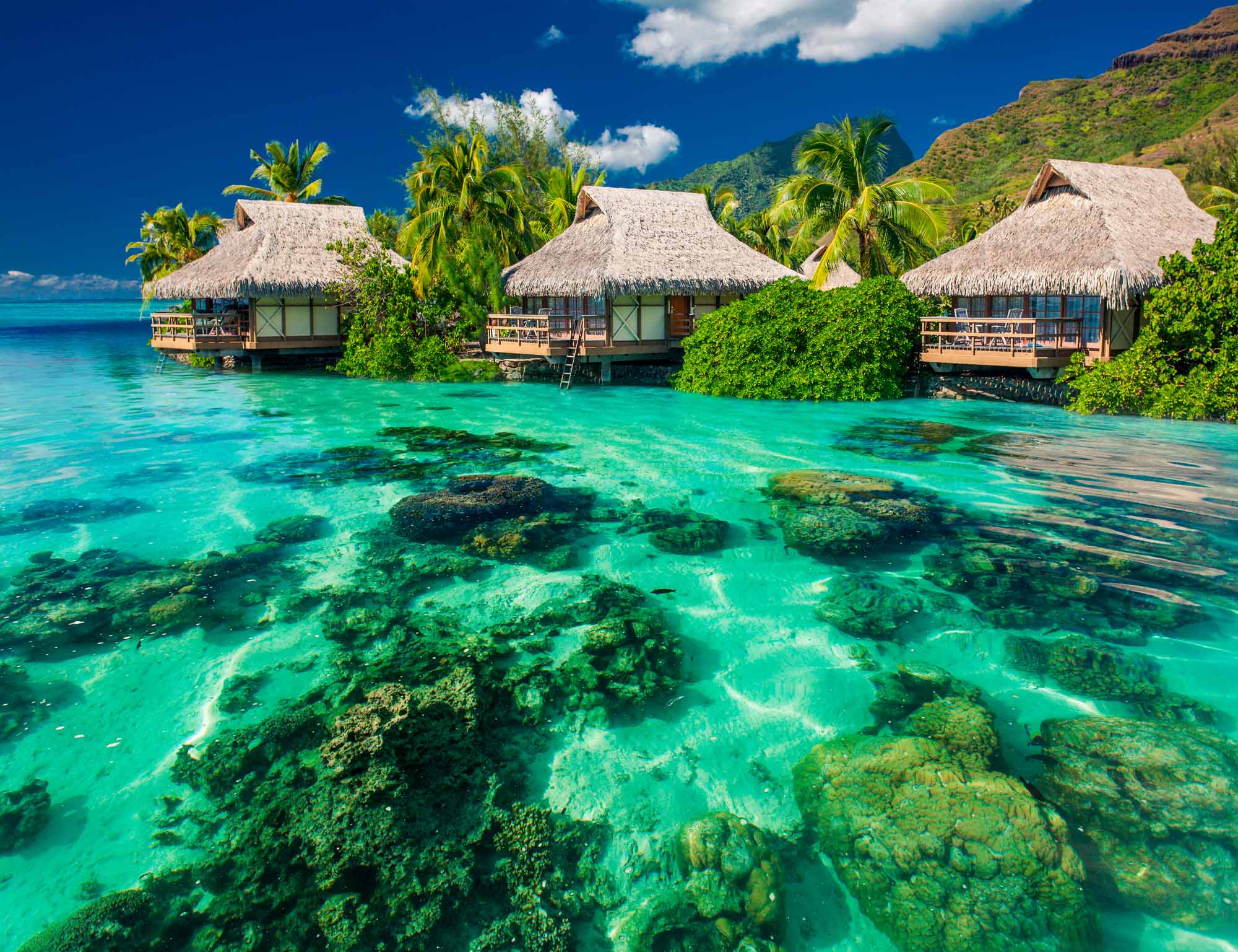 Crystal Clear Lagoon with Overwater Bungalows Wall Mural Wallpaper