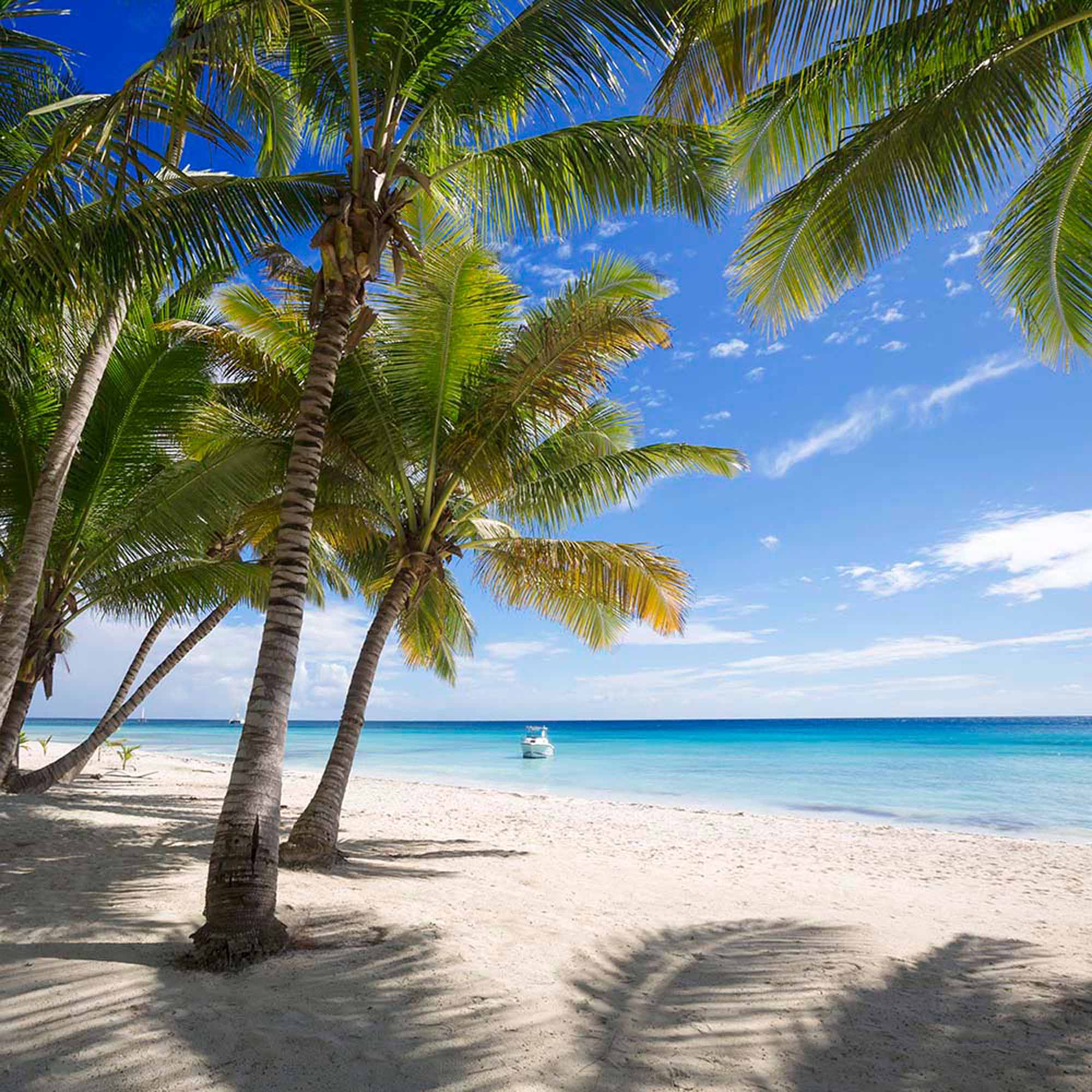 Tropical Beach with Palm Trees and Boat Wall Mural Wallpaper