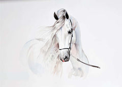 Custom Watercolor White Horse Wall Mural Animals Wallpaper