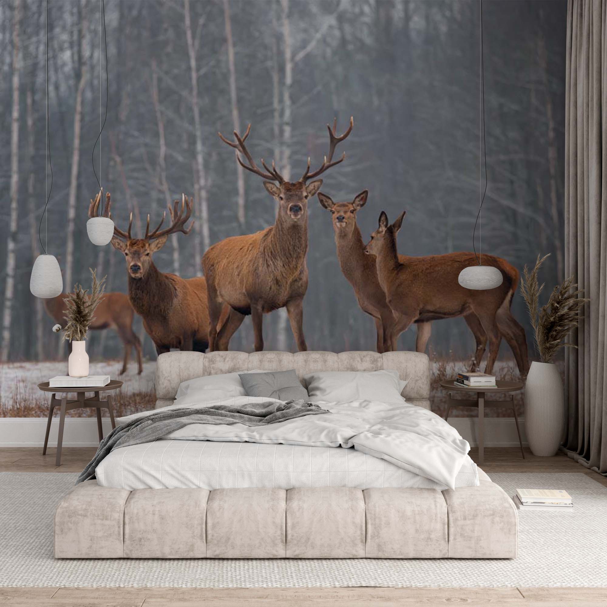 Deer Wall Mural Woodland Forest Wallpaper