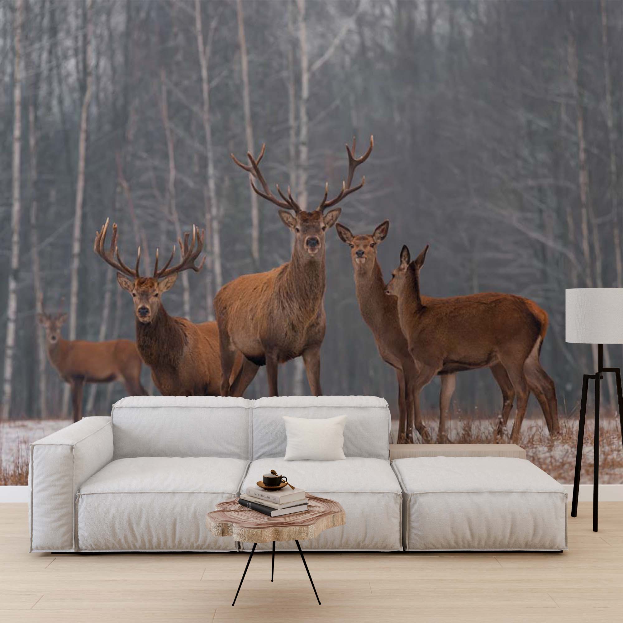 Deer Wall Mural Woodland Forest Wallpaper